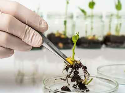 Biotecnología para el agro