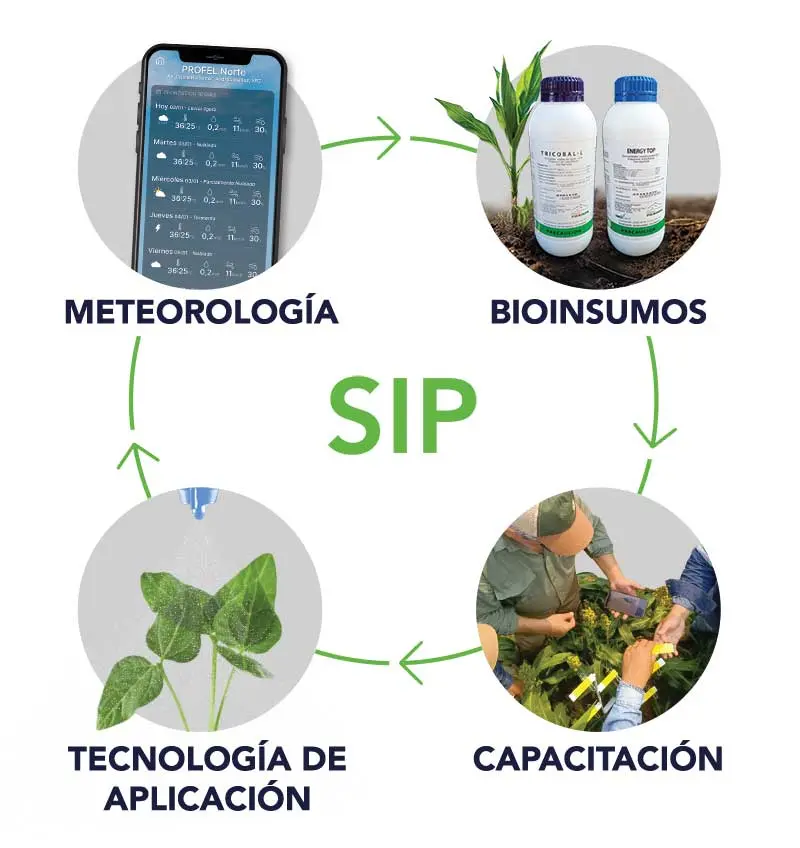 Elementos SIP